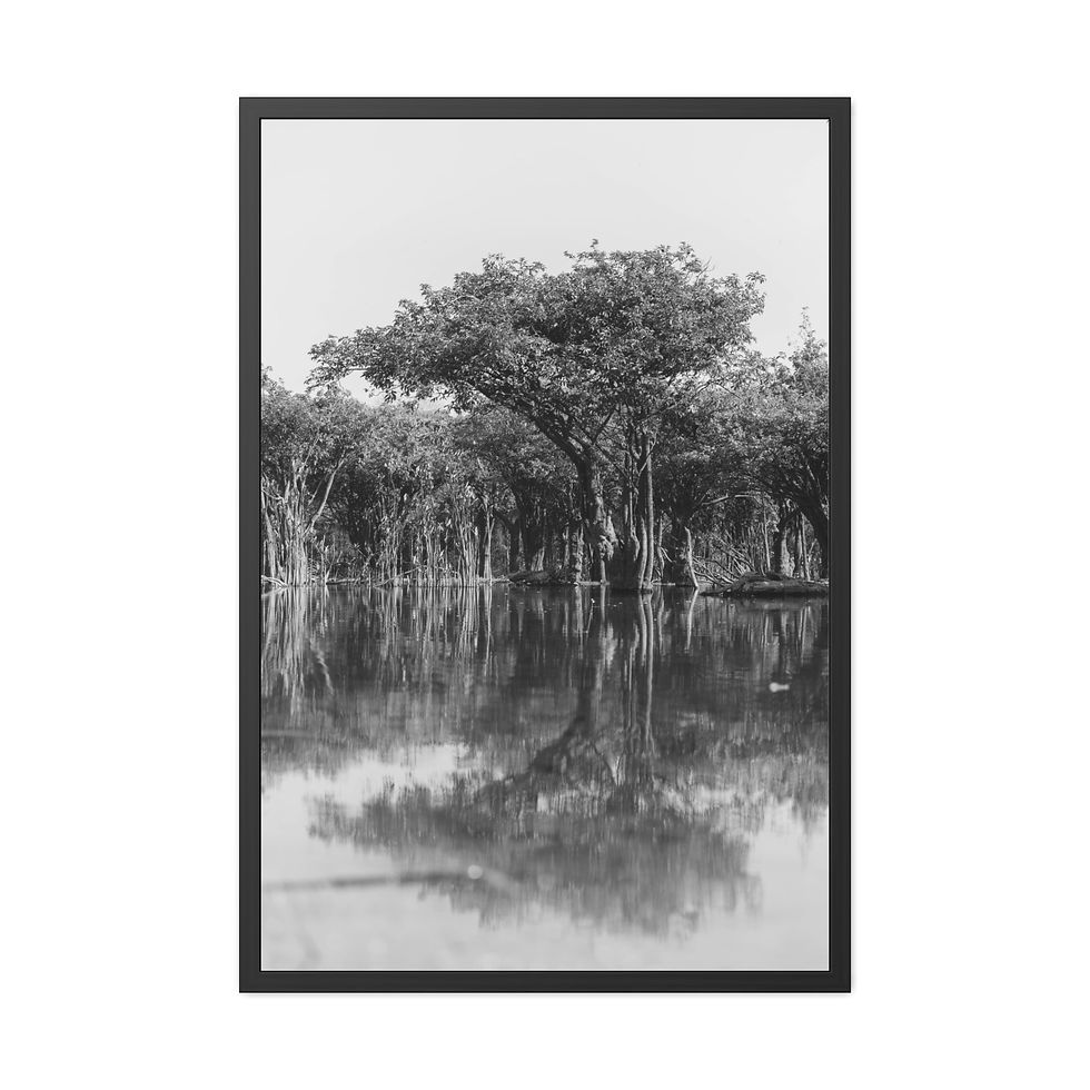 Thumbnail: Framed monochrome photo showing forest trees reflected in calm water.