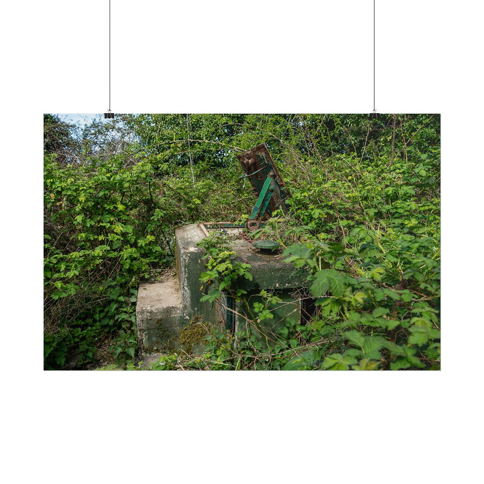 Thumbnail: Poster Print | Horsham ROC Post - Abandoned Urbex Wall Art