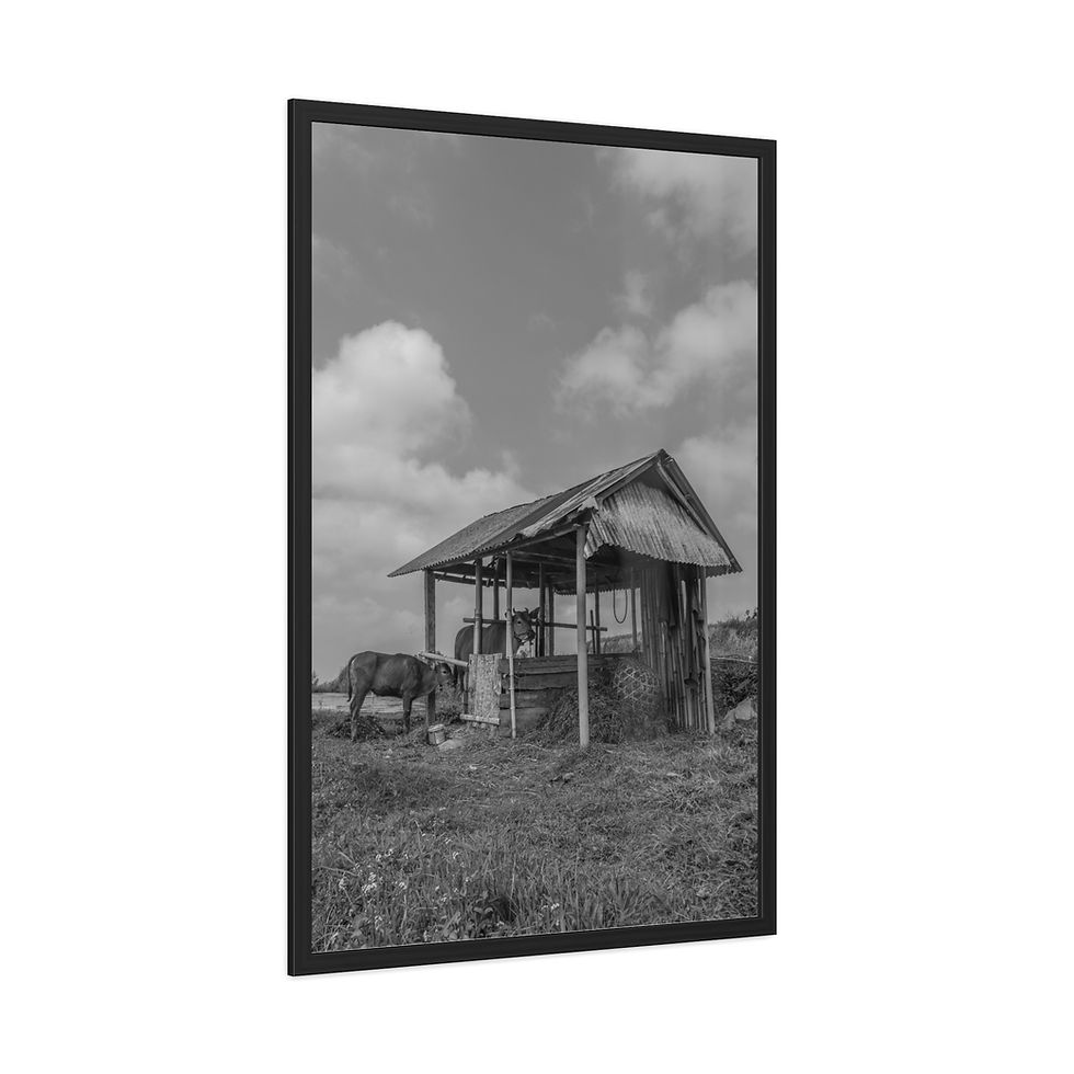 Thumbnail: Black and white framed print of rustic shed with animal under cloudy sky.