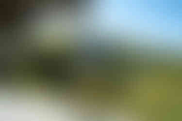 Hotel Aia in Tskaltubo, Georgia. Abandoned building overgrown with vegetation, featuring graffiti on walls. Sunlit scene captures nature reclaiming the structure, evoking a sense of decay and renewal.