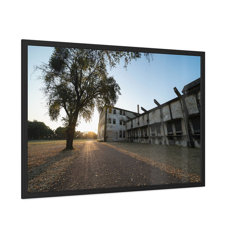 Thumbnail: Framed art print: sunset over old building and tree in field.
