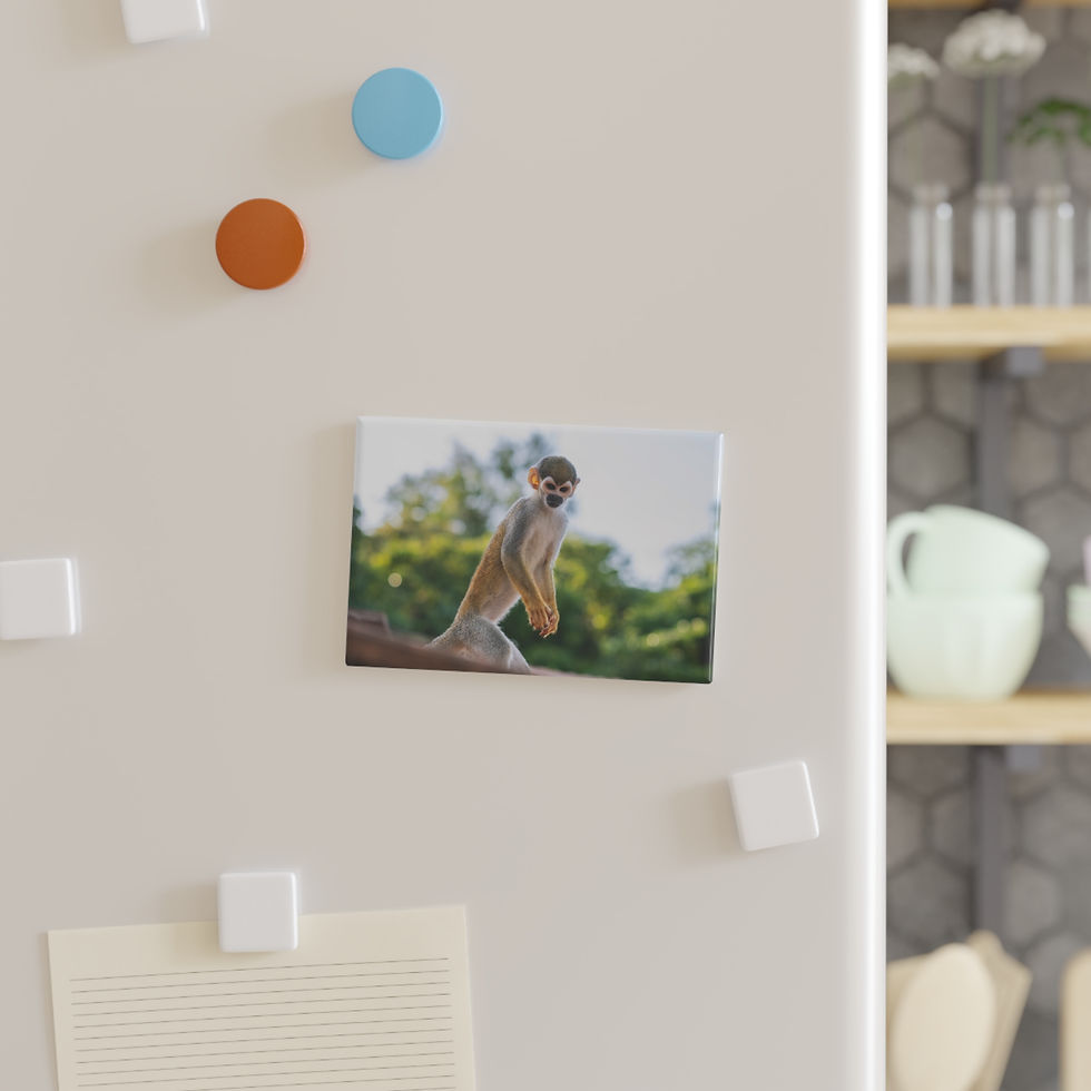 Thumbnail: Curious Squirrel Monkey Travel Wildlife Magnet on white refrigerator door.