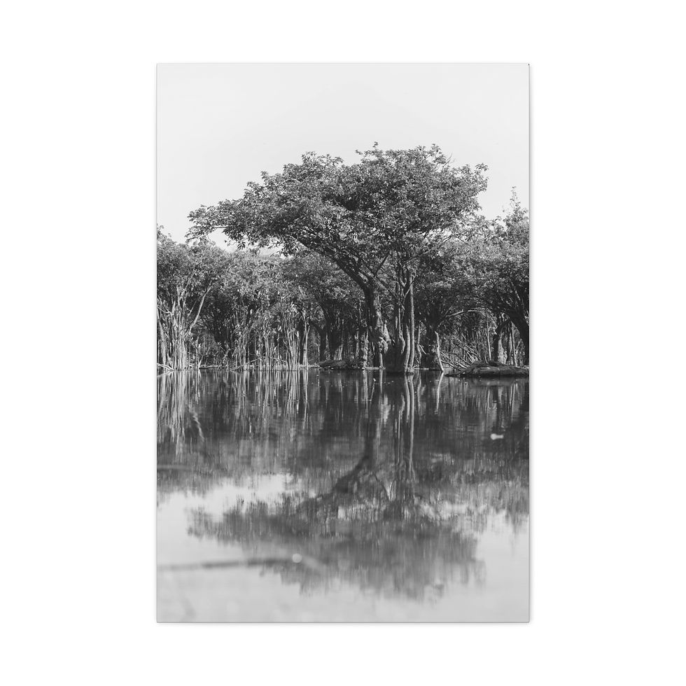 Thumbnail: Black and white photo of dense trees perfectly reflected in still water.