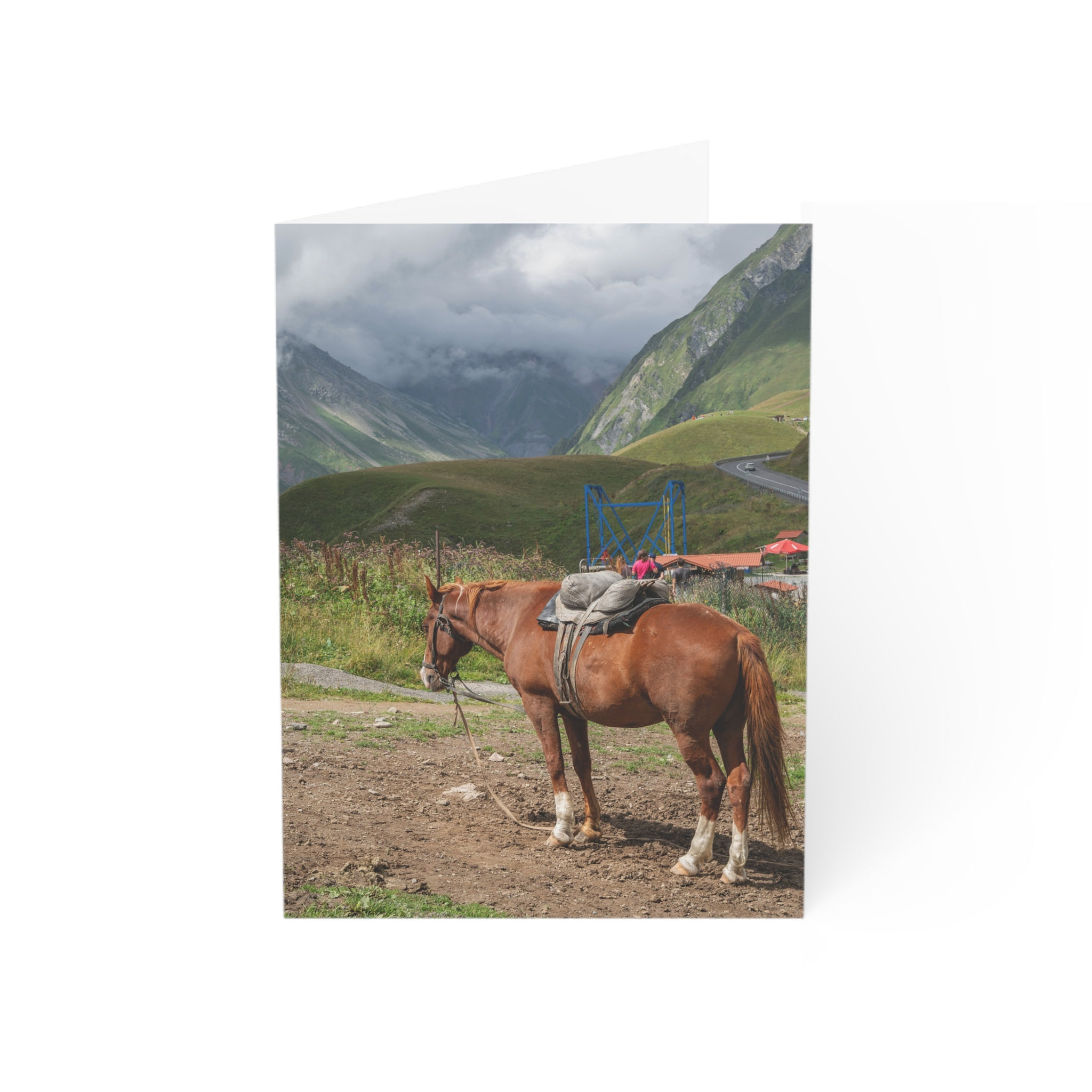 Horse in the Caucasus, Georgia | Greeting Cards: Pack of 1, 10, 30 or 50