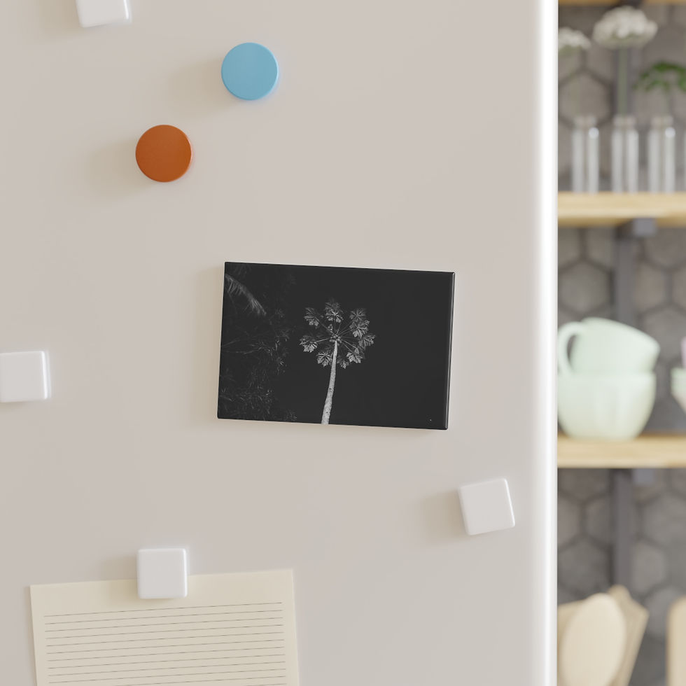 Thumbnail: Black magnet with white dandelion flower on a white refrigerator.