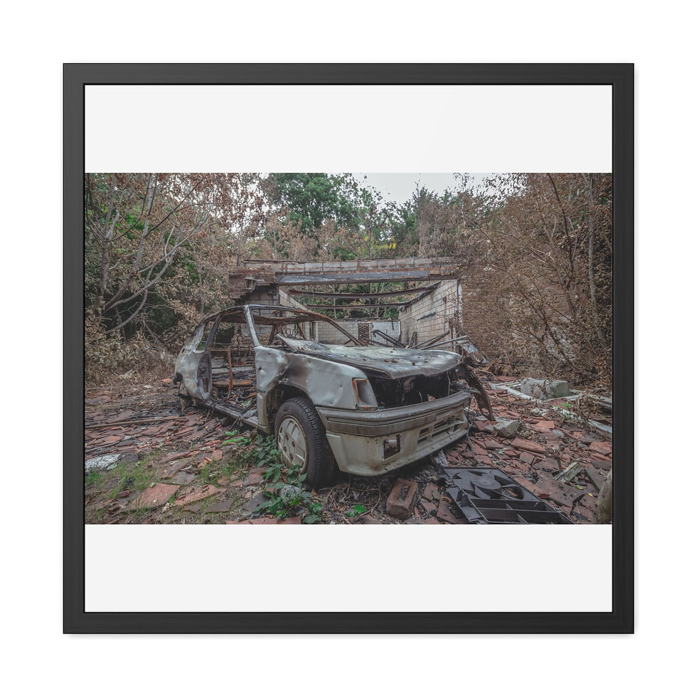 Thumbnail: Burnt, abandoned car frame in overgrown, desolate woodland with debris.