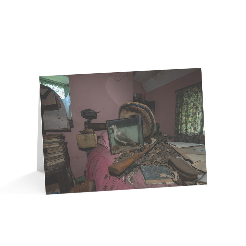 Thumbnail: Taxidermy Seagull - Abandoned House | Greeting Cards - Pack of 1, 10, 30 or 50