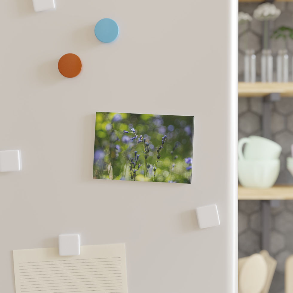 Thumbnail: Bluebells Magnet | Laughton Woods East Sussex | Floral Nature Photo Decor