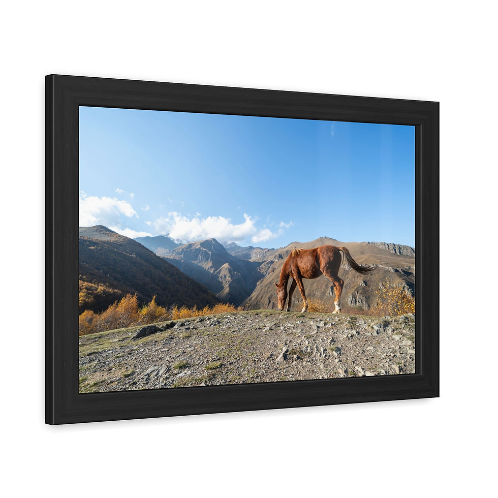Thumbnail: Brown horse grazes on rocky mountain plateau beneath clear blue sky.