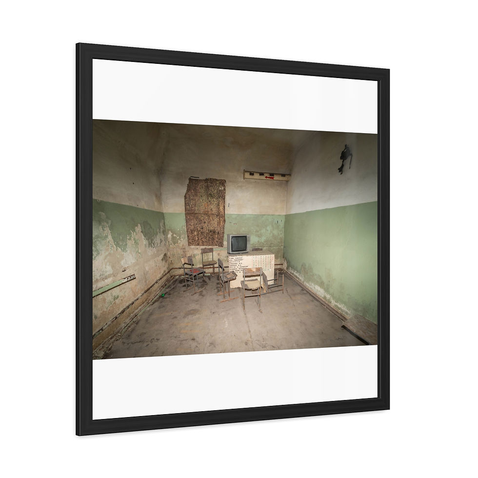 Thumbnail: Framed poster showing dilapidated room with peeling paint and old computer.