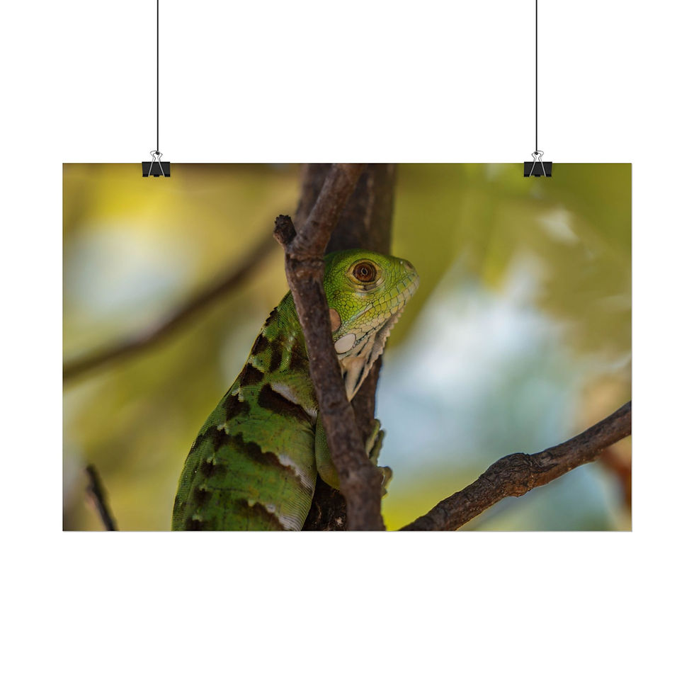 Thumbnail: Vibrant green iguana climbing a tree branch in lush foliage.