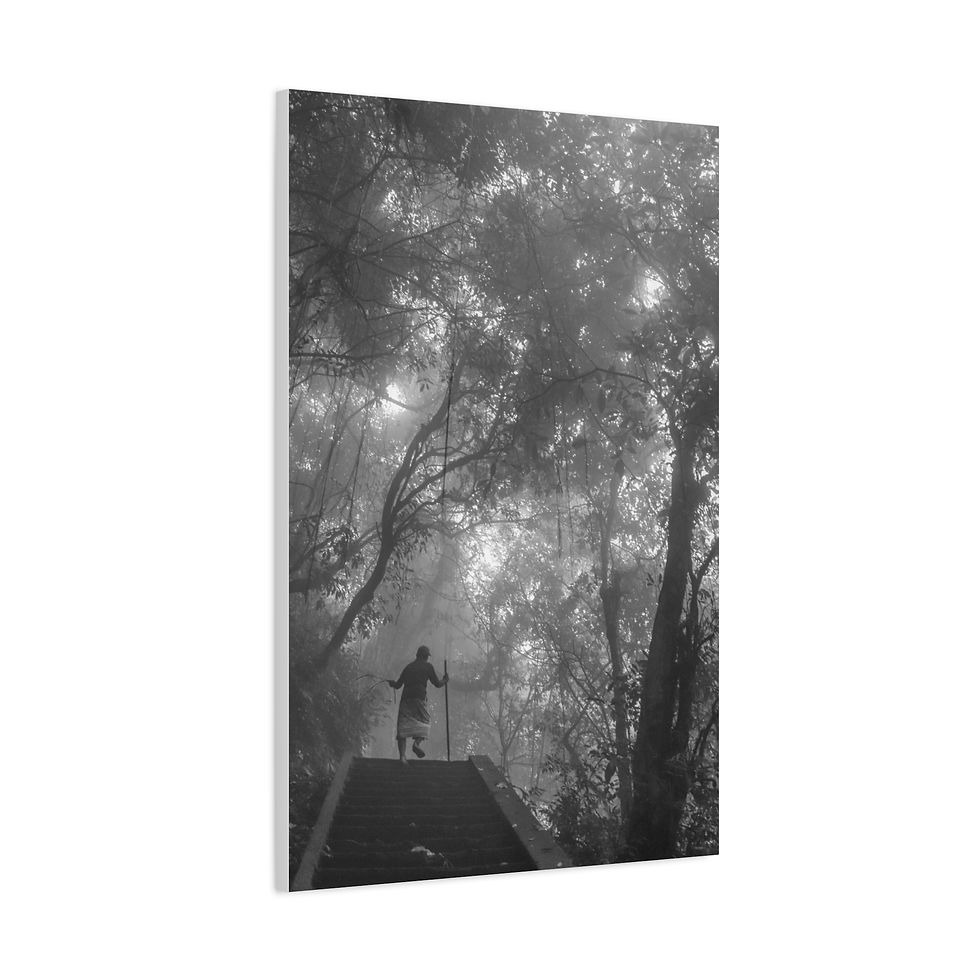 Thumbnail: Hiker on platform in misty forest, Canvas Wall Art - Man of the Mountain.