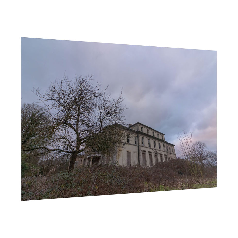 Thumbnail: Abandoned old mansion, bare trees, overgrown landscape under cloudy sky.