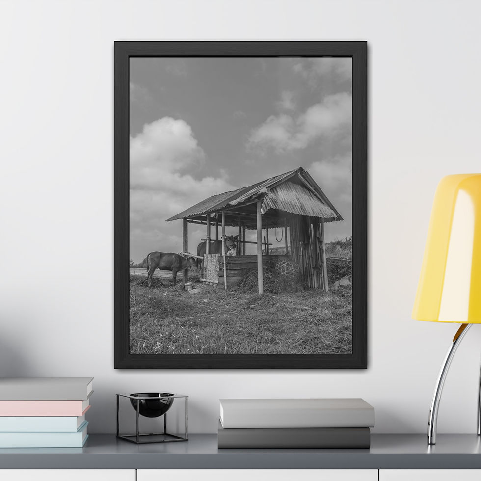 Thumbnail: Monochrome framed print of rustic weathered shed and horse under cloudy sky.