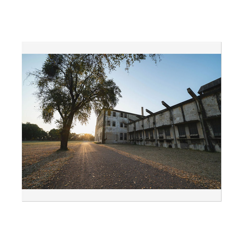 Thumbnail: Abandoned power station at sunrise with a tree in the foreground.