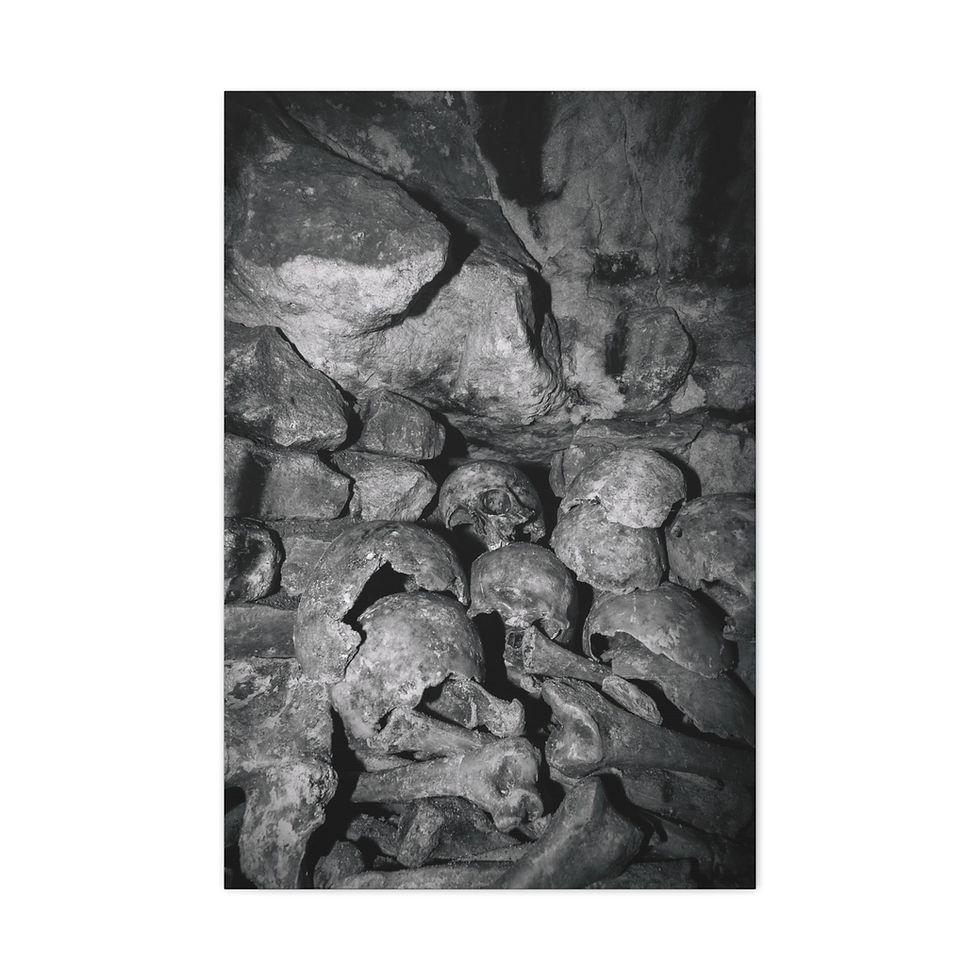 Thumbnail: Dark, grayscale wall of stacked human skulls and bones, Paris Catacombs.
