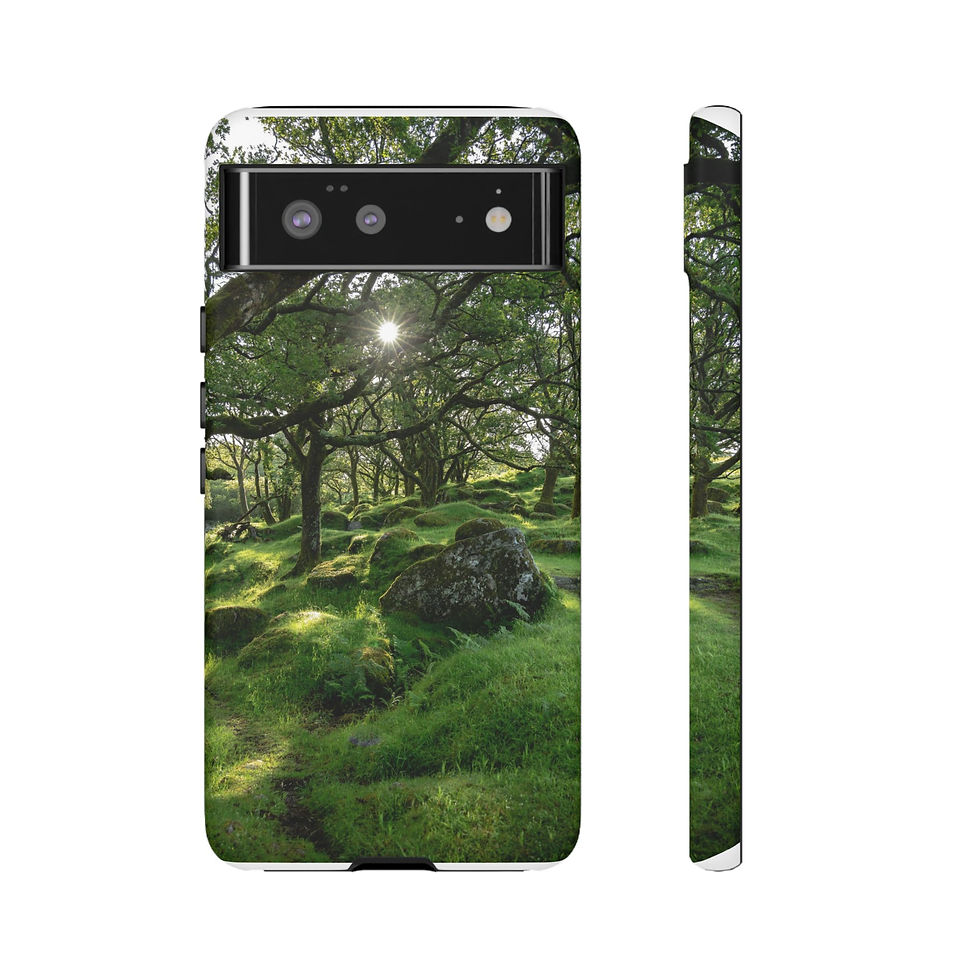 Thumbnail: Phone case shows sunlit, mossy forest path with green trees.