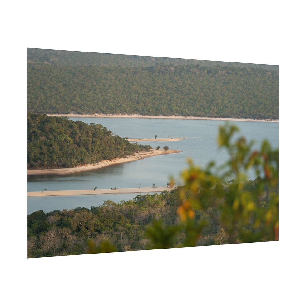 Thumbnail: Scenic view of winding river, sandy peninsulas, and lush green forests.