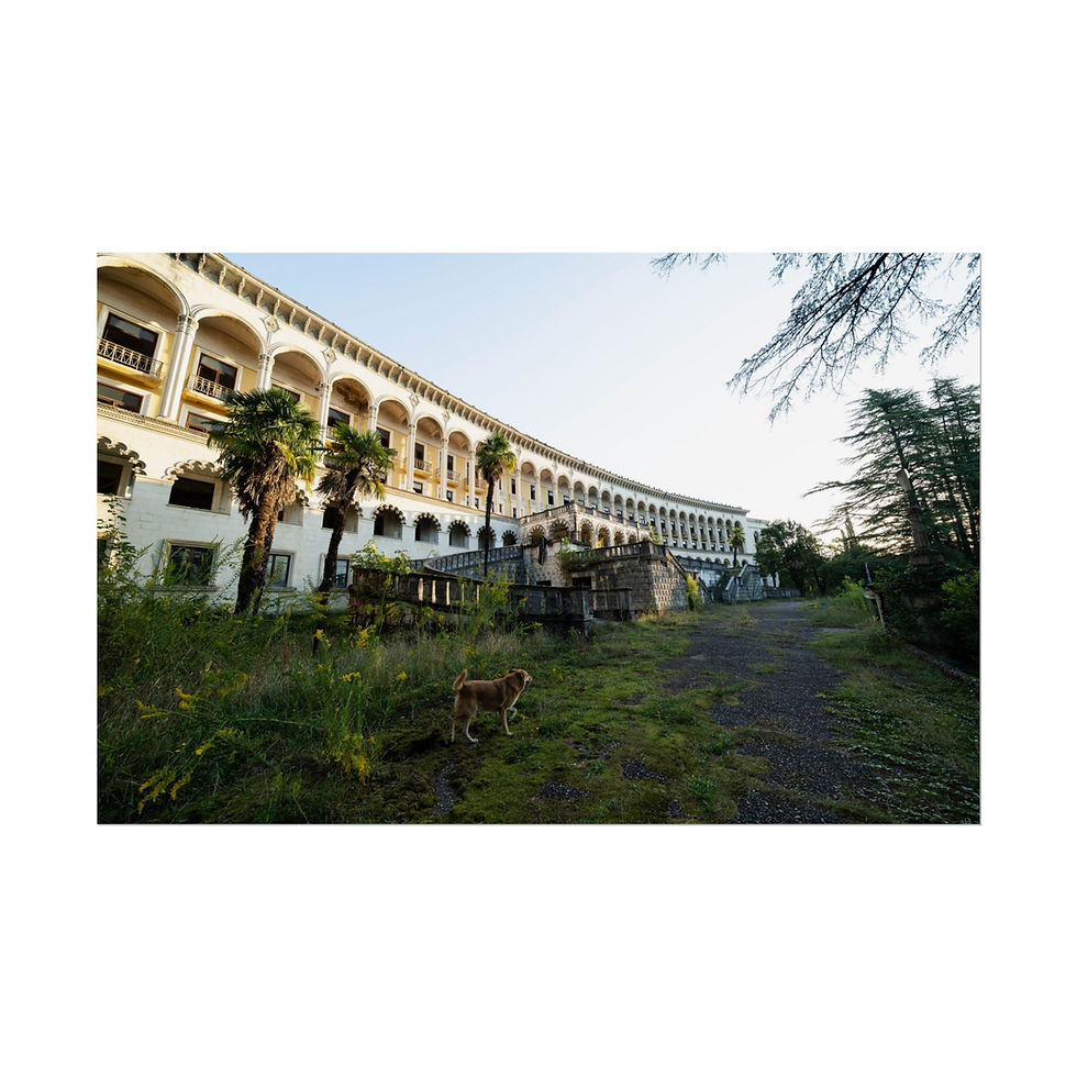 Thumbnail: Arched disused building, overgrown path, small dog looking at camera.