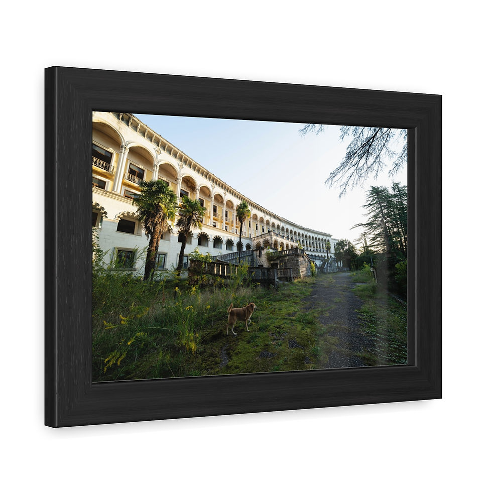 Thumbnail: Abandoned curved building, overgrown path, small dog, under clear sky.
