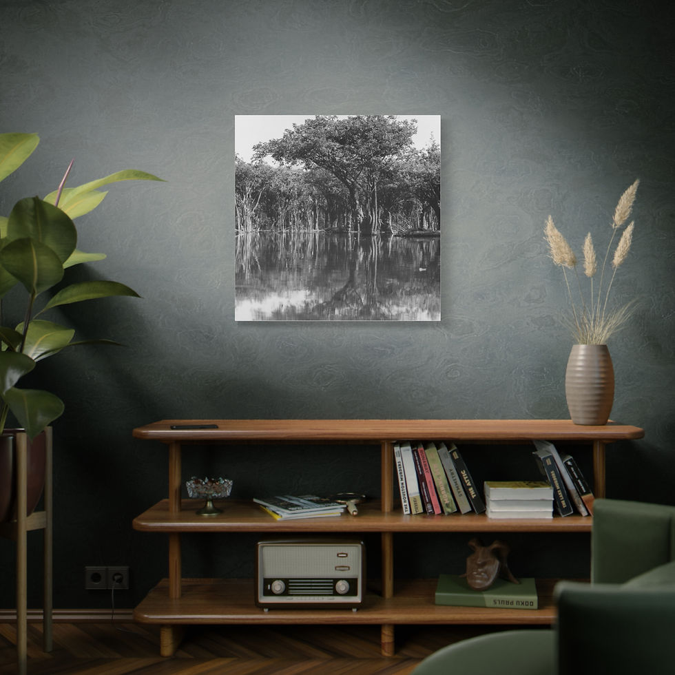 Thumbnail: Black and white canvas art print of trees reflecting in still water.