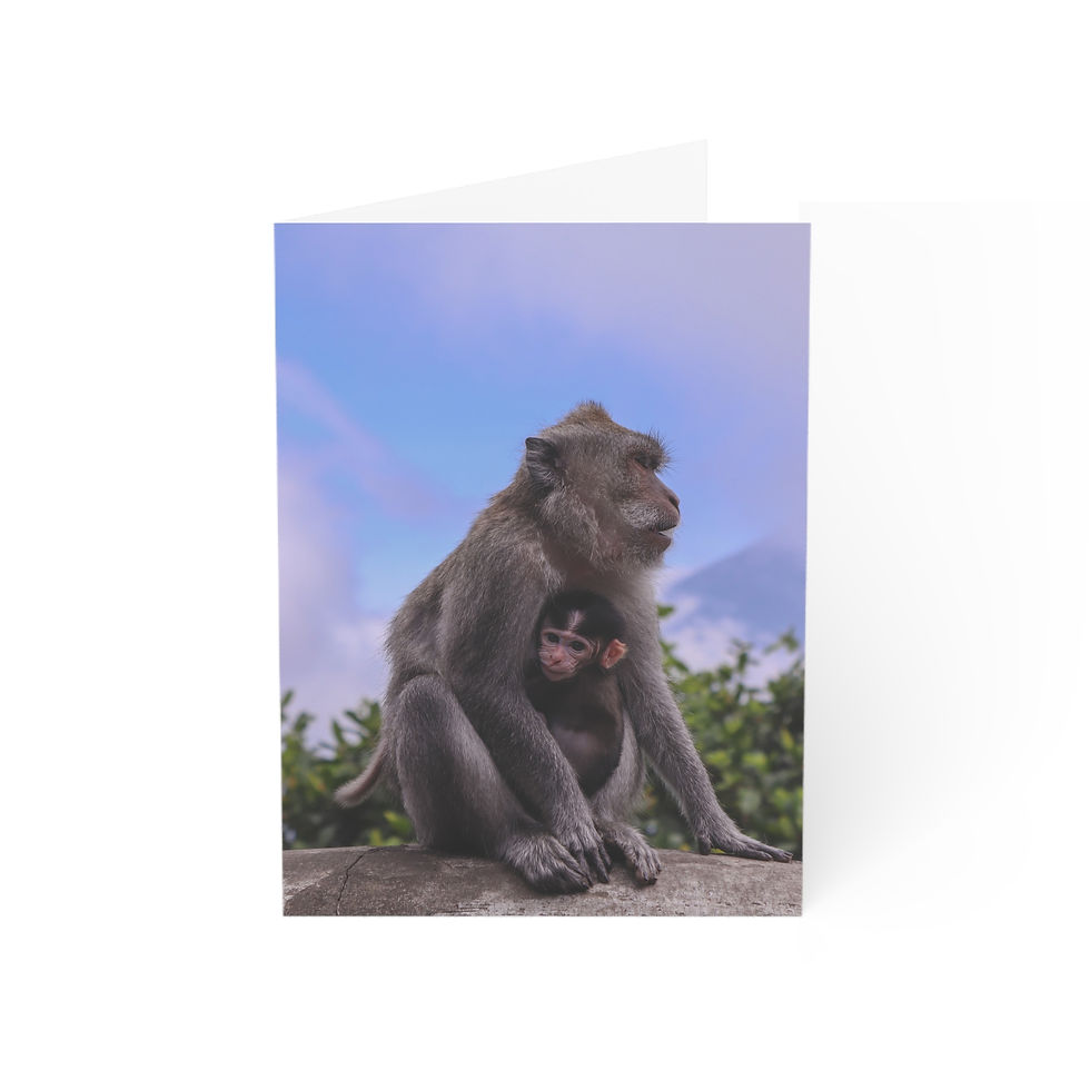 Thumbnail: Mother & Baby Monkey in Bali | Greeting Cards - Pack of 1, 10, 30 or 50