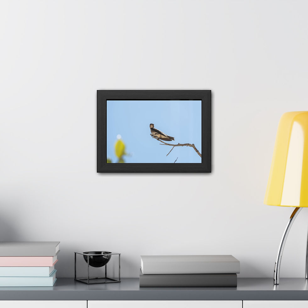 Thumbnail: Black framed picture of bird on branch, displayed above console table.