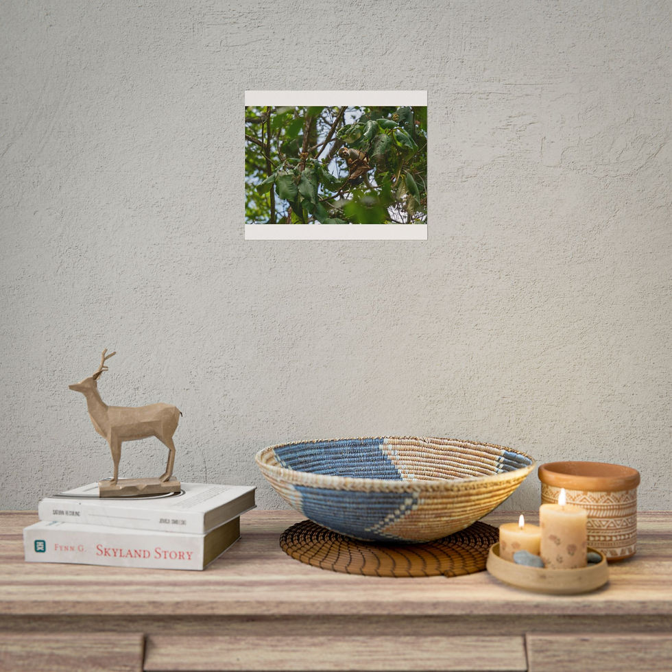 Thumbnail: Room decor with framed squirrel monkey art above books and bowl.