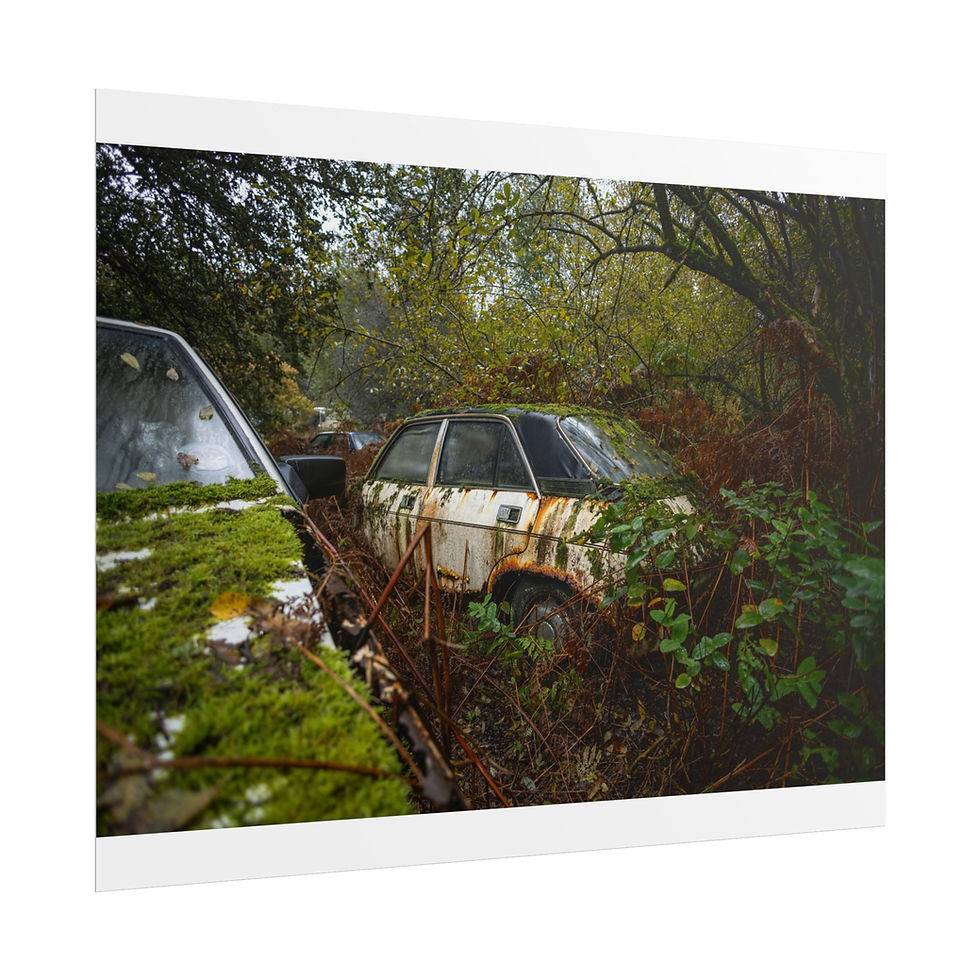 Thumbnail: Rusted, abandoned car completely overgrown by dense foliage in a junkyard.