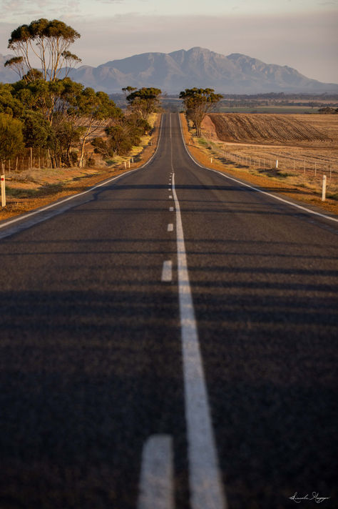Road to Stirling Range