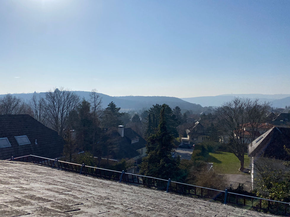 Blick auf die Burg Liechtenstein