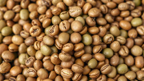 Café Verde Moído: a ciência por trás da análise de ácido clorogênico e cafeína