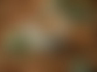 Análise de Ocratoxina: o que é, riscos e importância para a segurança dos alimentos