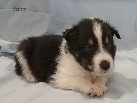 Savannah boys are getting big