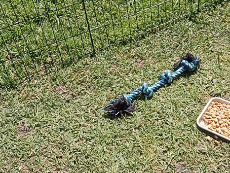 Nice day for a picnic!