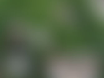 All 13 what a lucky number