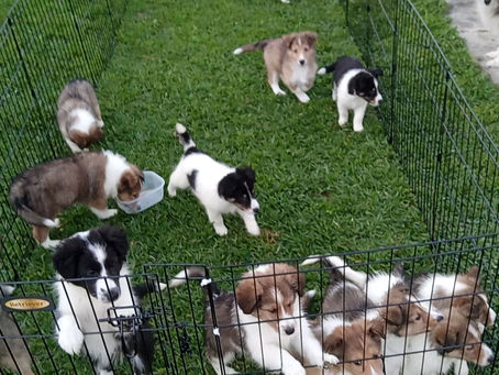 All 13 what a lucky number