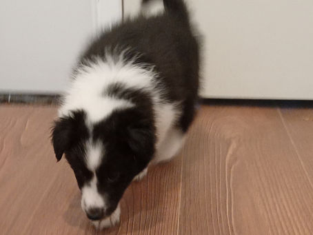 March 7 is just around the corner!