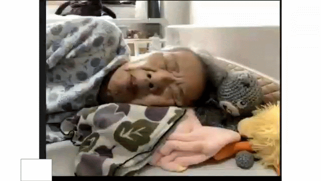 加山様食事 17秒.gif