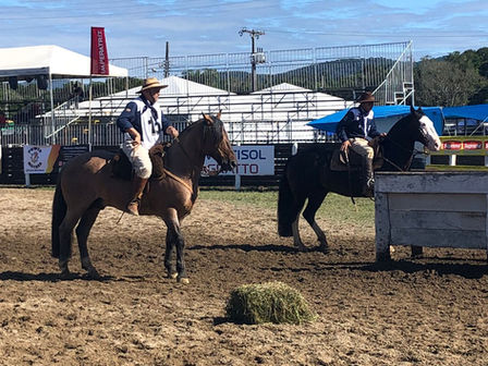 Conheça os campeões da paleteada no Rodeio dos Praianos