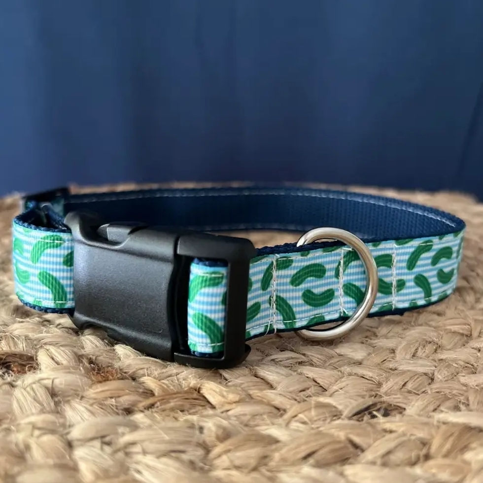 Baylor's Boutique Dog Collar - Extra Small