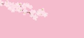 pink-cherry-blossom-illustration-background-vector.jpg