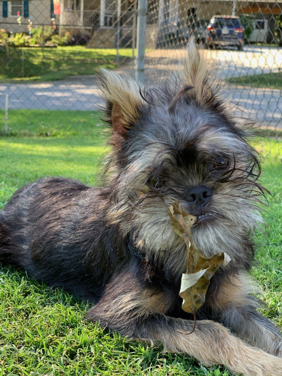 KOSMO2