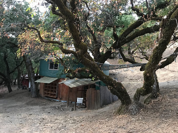 Community Yurt 1.jpg