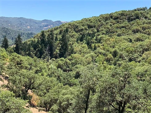 A perfect nature retreat_edited.jpg