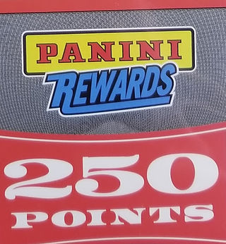 Panini Points
