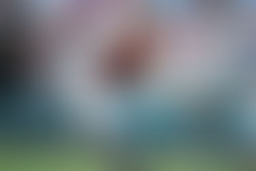 Draft Picks - Greene to Adley