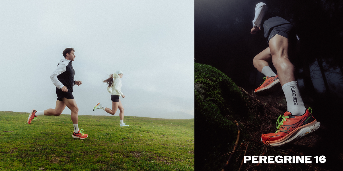 Head_Website_SCY (4).png