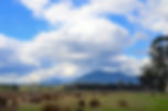 Coranderrk. colour correct.Image supplie