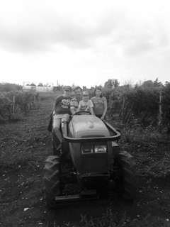 IMG-0acaaa090fe85480da1607a0e51240a6-V-0